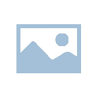 cosinlee（高思朗）电气祝全国人民新春快乐